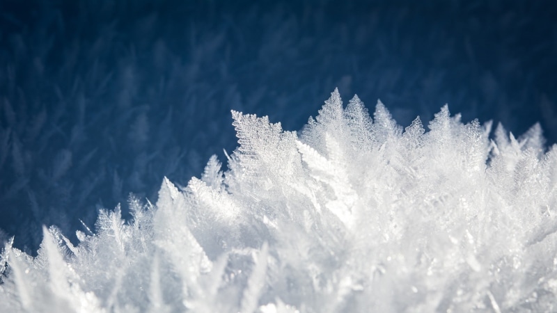 coniferous tree, crystal, outdoors, winter, day, landscape, tranquility, beauty in nature, 1080P, ice, snow, white color, frost, cold temperature, nature