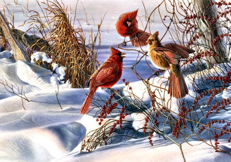 painting, animal wildlife, domestic animals, animals in the wild, day, winter, bird, cold temperature, animal themes, Christmas, vertebrate, no people