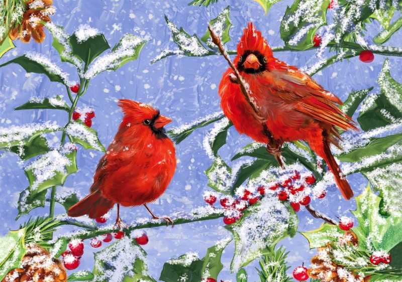 cold, 1080P, snow, lovely, nice, snowflakes, birds, beautiful, winte, tree, nature, cardinal, branches, winter, cardinals, pretty