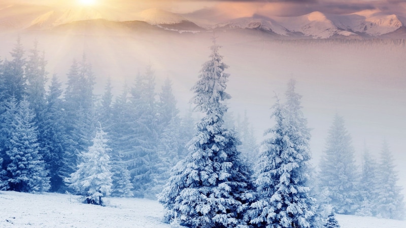 landscape, environment, tranquility, backdrop, no people, xmas, ornament, cold, tranquil scene, color, idyllic, tree, plant, clear, 1080P, beauty in nature