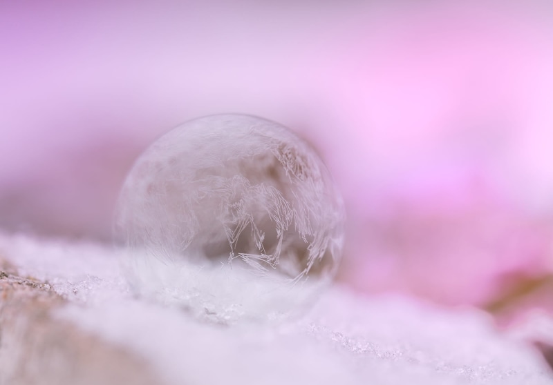 extreme close-up, indoors, pastel colored, ice, photography, frozen, purple, fragility, no people, 1080P, studio shot, selective focus, pink color, holiday