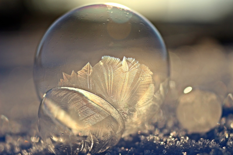 nature, frost, soap bubble, bubbles, ice-bag, plant, frost globe, beauty in nature, translucent, jellyfish, vulnerability, 5K, softness, close-up, vegetable