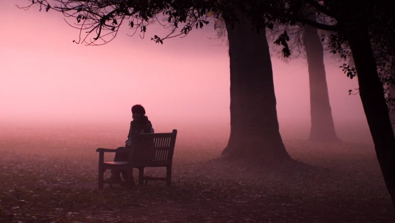 Marble Hill, man, tree, Best, sitting, London, Search, oak  tree, near, nature, twilight, silhouette, outdoors, sunset, bench, autumn, trees, people, 2K