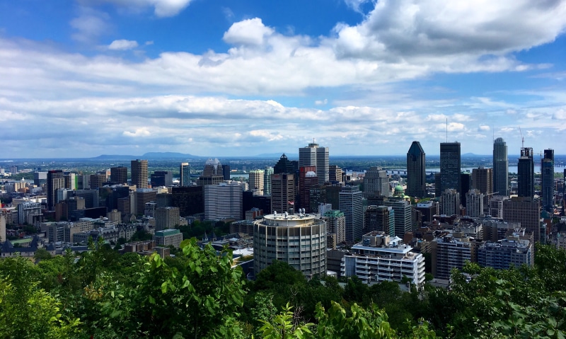 buildings, modern, skyscraper, plant, tall - high, canada, chalet du mont-royal, urban skyline, skyline, sky, architecture, chalet, built structure, trees