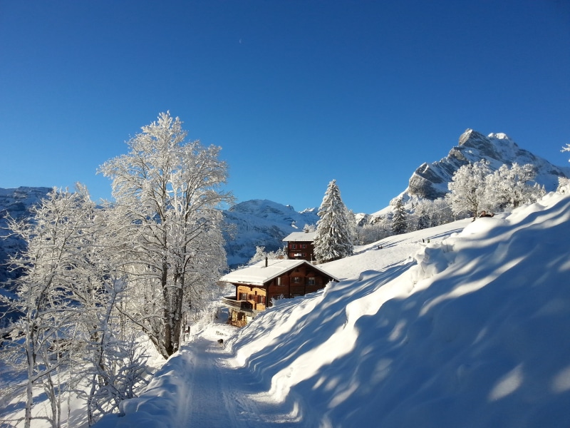 house, braunwald, storey, swiss, season, fresh, blue, field, mountain, Alps, covered, snow, glarus, nature, tree, Swiss cottage, cottage, brown, forest