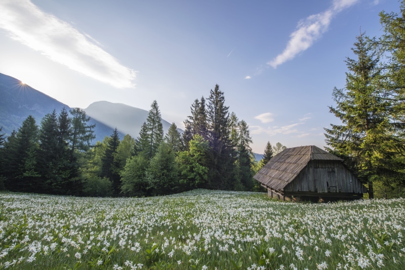 chalet, architecture, farm, mountain, hut, barn, landscape, background mountain, nature, beauty in nature, valley, plant, green, no people, photo, cottage