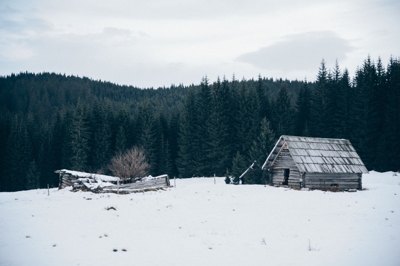 mountain, nature, beauty in nature, trees, cold temperature, environment, scenics - nature, forest, snowing, tree, chalet, winter, pine tree, house, building exterior