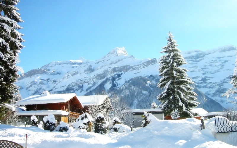 mountain, winter, winters, evergreen, 1080P, chalet, day, nature and landscapes, sunny