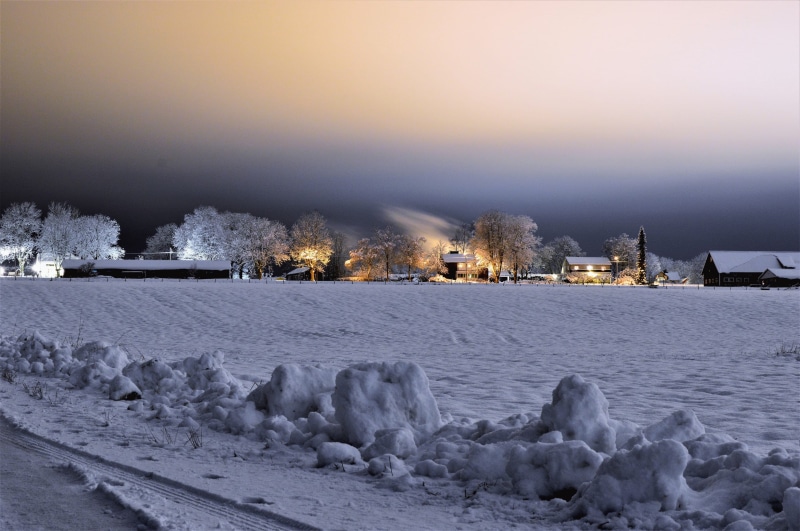 environment, season, frosty, landscape, trees, weather, cold temperature, ice, outdoors, scenic, snow, tranquility, land, building exterior, frozen, frost