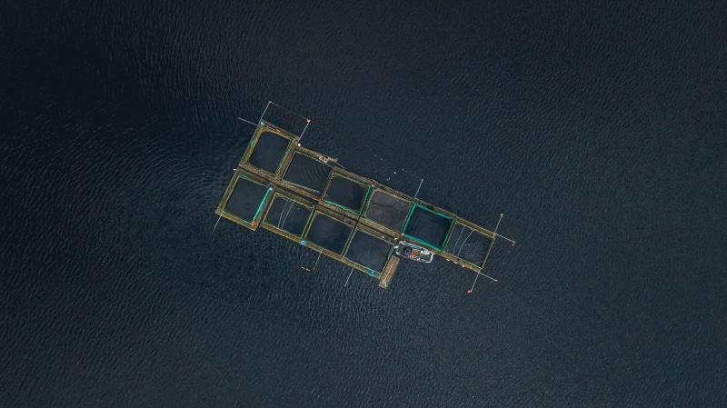 nature, fishing, built structure, 2K, pen, topdown, canoe, transportation, black, asphalt, net, communication, shopping, shopping cart, water, dusk, absence
