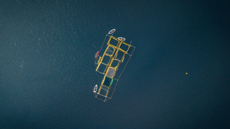 day, beside, transportation, mode of transportation, photo, ocean, sunlight, tranquility, 2K, sea, hope valley, nautical vessel, view, high angle view