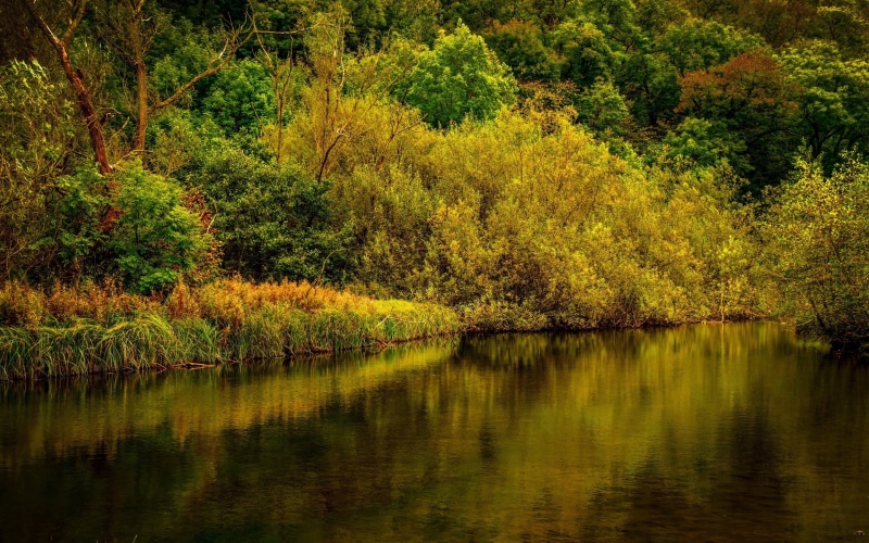 2K, derbyshire, landscape, lake, park, forest
