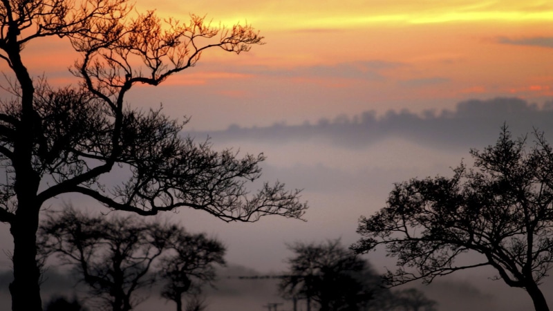 trees, engl, nature and landscapes, derbyshire, plain, fog, 1080P, fields, sunset