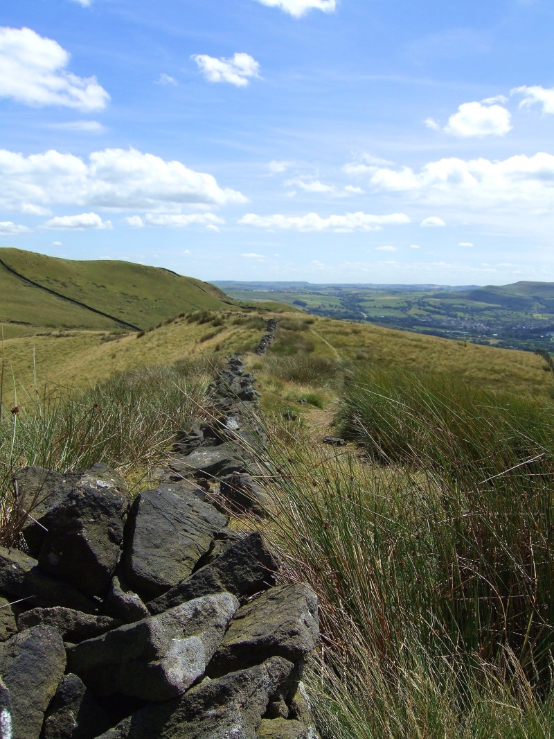 green color, plant, land, tranquility, rock, landscape, english scenery, beauty in nature, scenics - nature, no people, idyllic, environment, England, sky