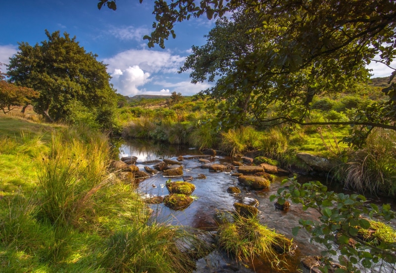 England, cloud - sky, Derbyshire, Padley Gorge, Burbage Brook, The Peak District, scenics - nature, trees, day, beauty in nature, flowing water, forest