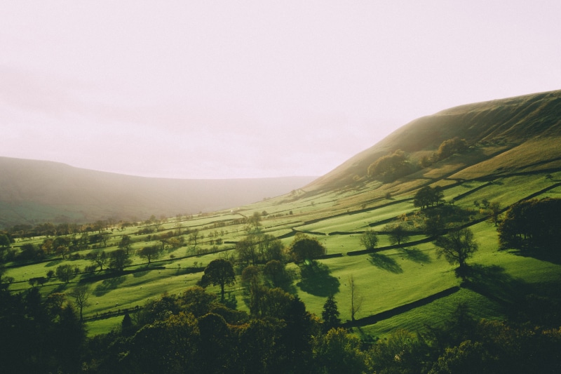 environment, mountain, landscape, green color, plant, golden hour, hope valley, growth, no people, beauty in nature, tree, idyllic, edale, tranquil scene
