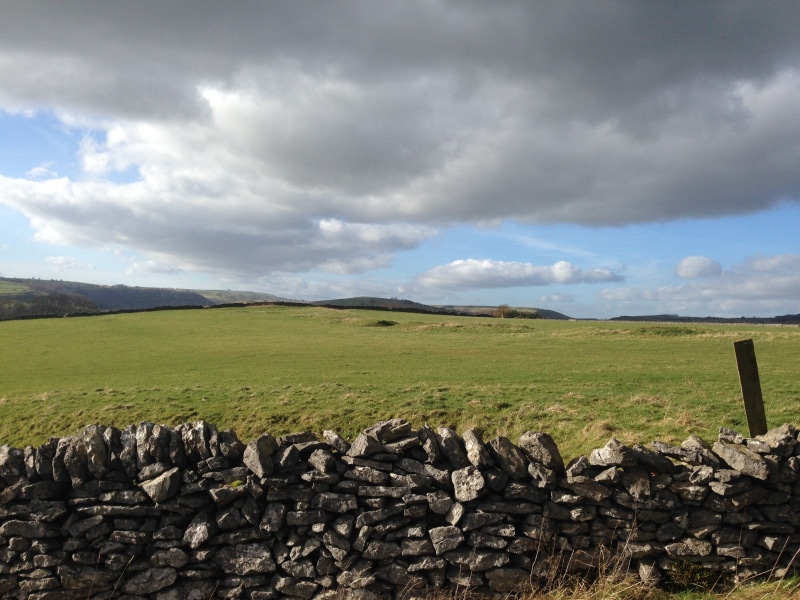 fence, district, countryside, wood, green color, land, tranquil scene, grass, landscape, tranquility, boundary, country, wall, scenic, british, day, nature