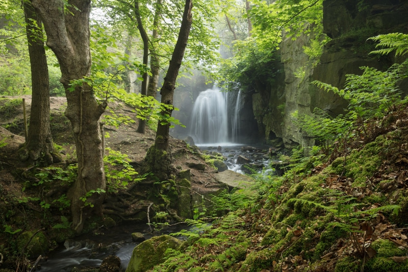 stream, haze, 4K, Peak District, England, forest, Derbyshire