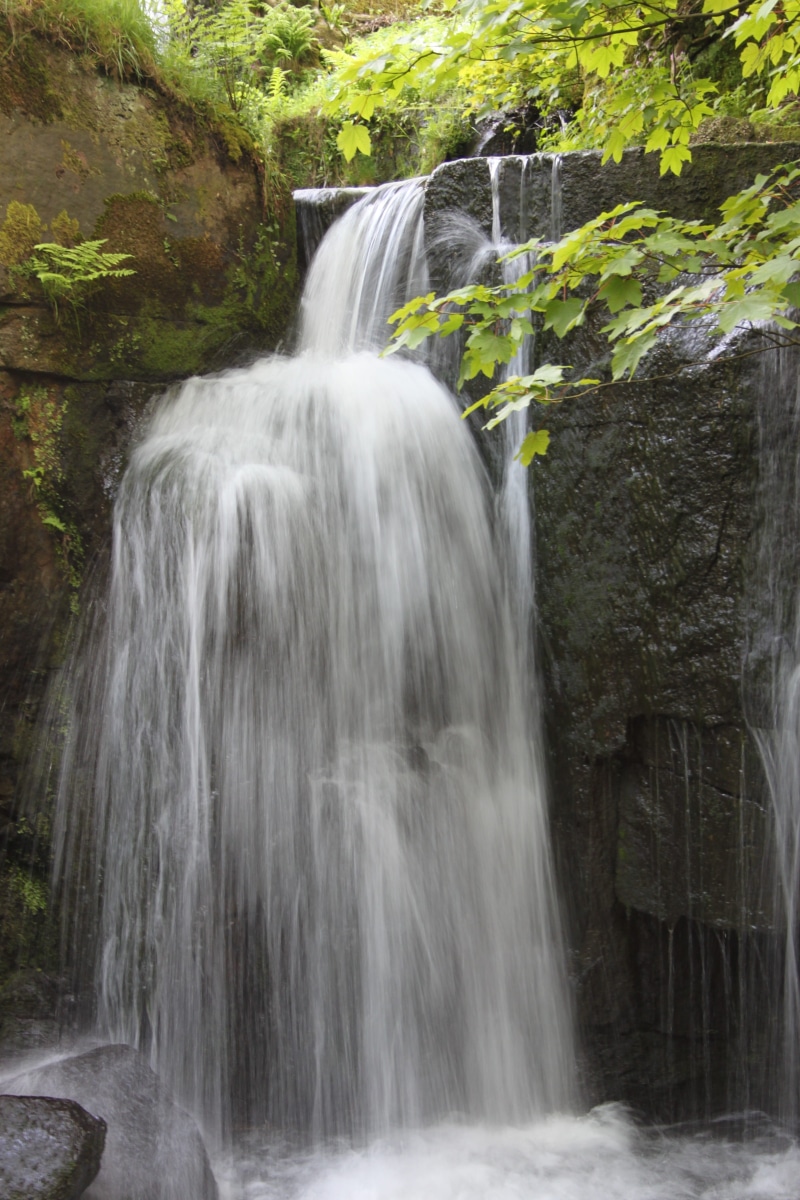 Water, no people, matlock, stream, river, power, solid, arkwright, falling water, amazing, motion, Landscape, green, flow, land, scenery, wet, outdoors