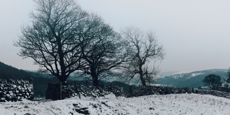  snowing, peak district, white color, beauty in nature, plant, tranquility, tranquil scene, no people, covering, stone, bare tree, united kingdom