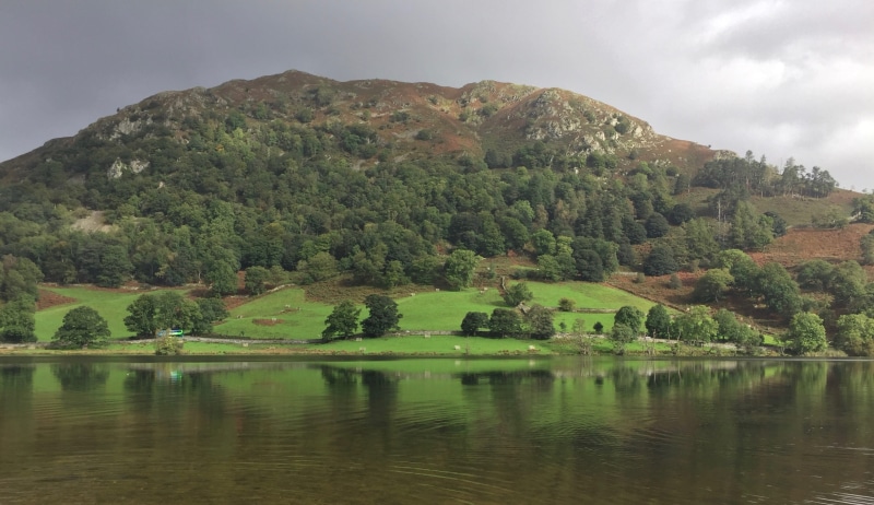 reflection, beauty in nature, green, nature, tree, no people, england, tourism, valley, cumbria, tranquility, pine woodland, grass, outdoor, english, countryside