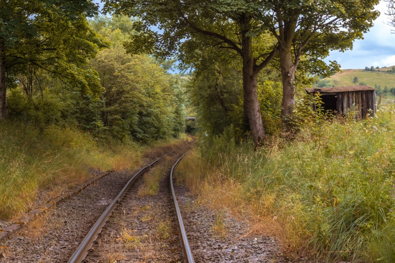 built structure, architecture, forest, track, green color, rail transportation, growth, railroad track, public transportation, the way forward, tree, peak district