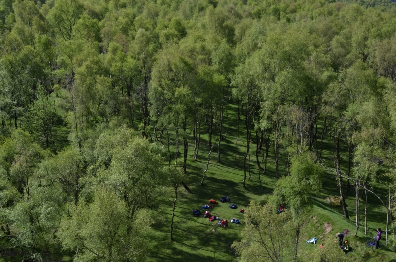 foliage, camping, non-urban scene, real people, growth, day, beauty in nature, plant, green, nature, tranquil scene, group of people, environment, forest