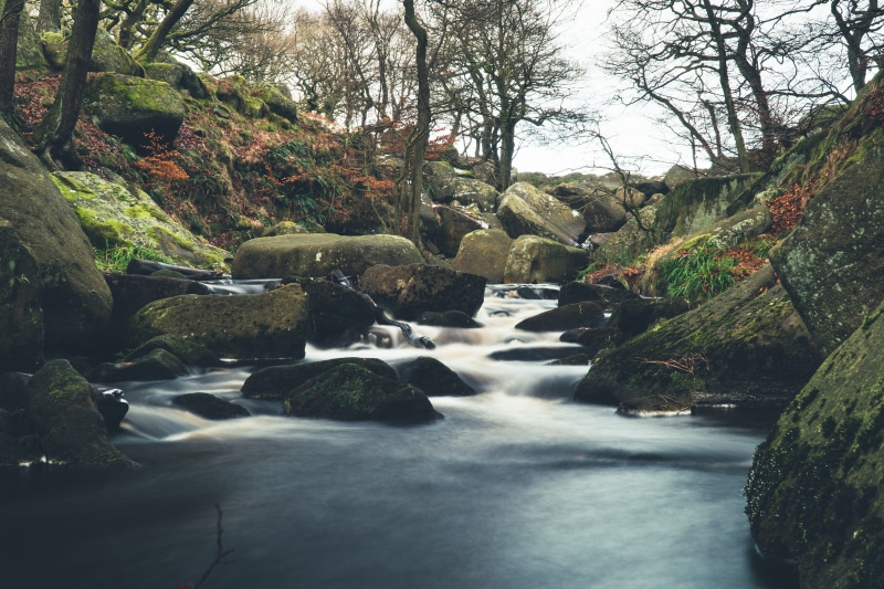 power in nature, outdoors, no people, rock - object, uk, united kingdom, woods, forest, waterfall, blurred motion, rock, motion, peak district, plant, water