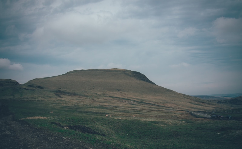 plant, nature, mountain peak, hills, day, landscape, no people, tranquility, non-urban scene, grass, outdoors, remote, mountain, tranquil scene, land, environment