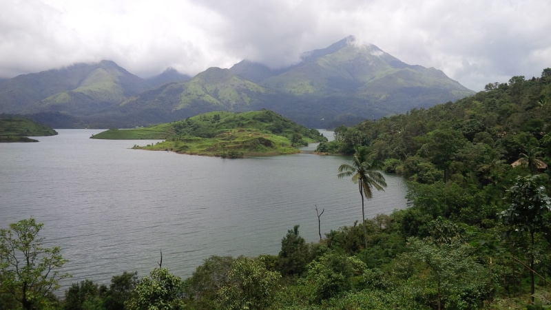 wayanad, tree, day, lake, nature, green, tranquil scene, cloud - sky, 2K, landscape, dam, idyllic, outdoors, plant, beauty in nature, reservoir, growth