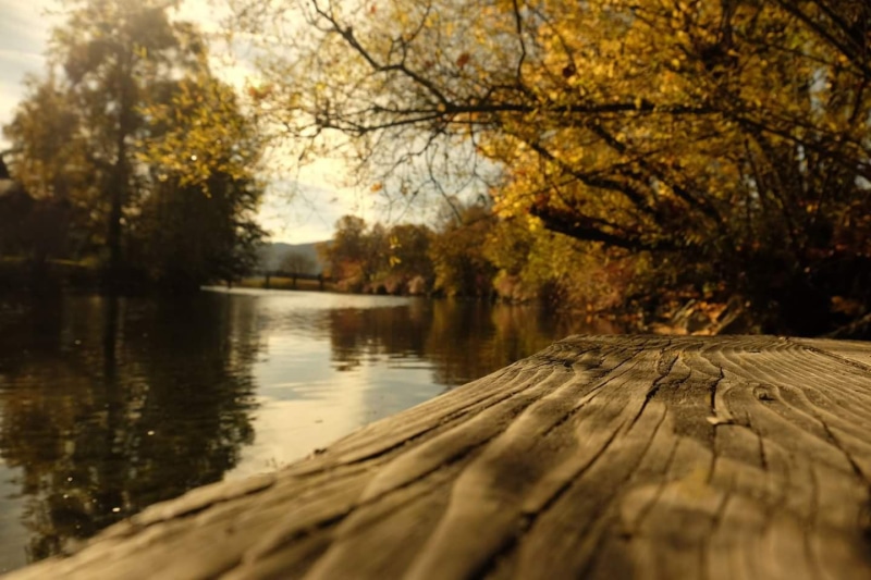 lake, photo, tree, Natur, yellow, gelb, wood - Material, Gmund, fall  braun, season, gold, Fluss, Starnberger See, scenics, surrounded, river, outdoor
