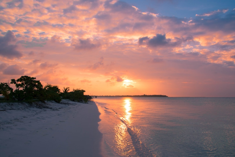 tree, landscape, beauty in nature, water, dawn, land, reflection, horizon over water, waterfront, magic, maldives, cotton candy, dusk, 5K, sky, nature