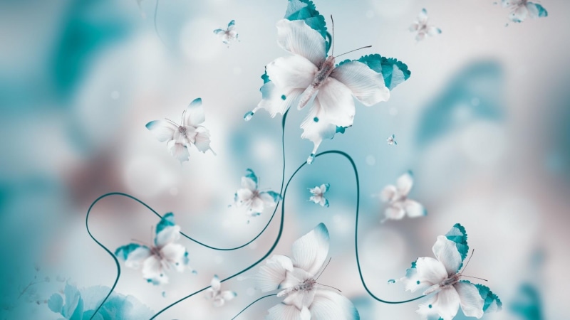 butterfly, turquoise, artwork, fairy tale, 1080P, digital art