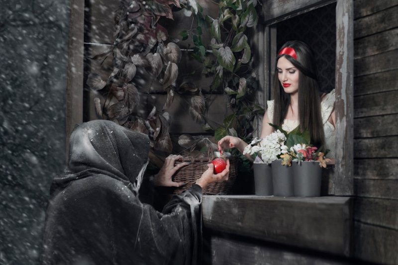 outdoors, Snow White, day, people, clothing, white, human representation, lifestyles, plant, red, 1080P, nature, leisure activity, flower, women, young adult