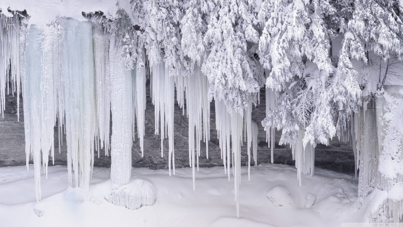 white color, snow, cold temperature, extreme weather, environment, ice, icicle, plant, no people, frozen, winter, frosted, scenics - nature, nature, tranquility