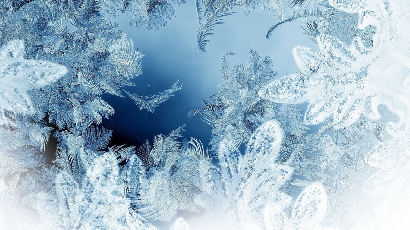 frost, beauty in nature, nature, white color, plant, pattern, snowing, winter, outdoors, snowflake, mac os x frosted glass, backgrounds, snow, crystal