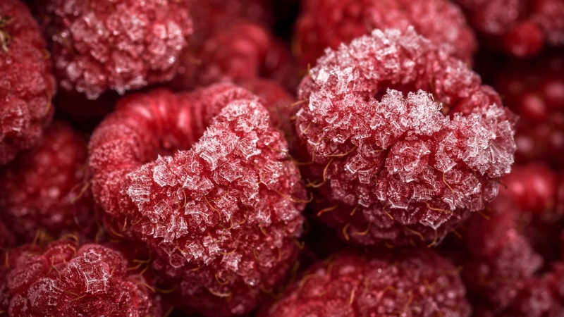 macro, ice, raspberry, macro photography, close up, 4K, photography, photo, frosted, red berries, berry, fruit, berries, red berry, frozen, natural foods