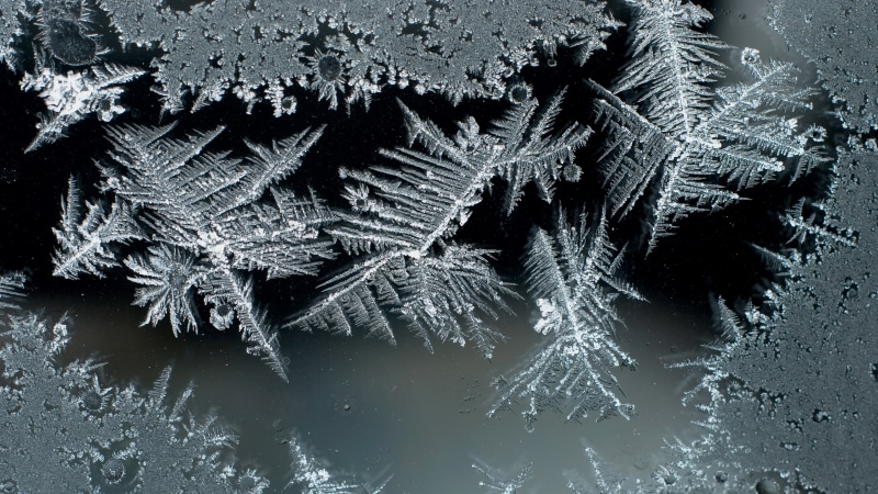 celebration, backgrounds, frozen, 4K, close-up, cold temperature, nature, beauty in nature, ice crystal, plant, tree, coniferous tree, winter, frost, 4k wide frosted glass