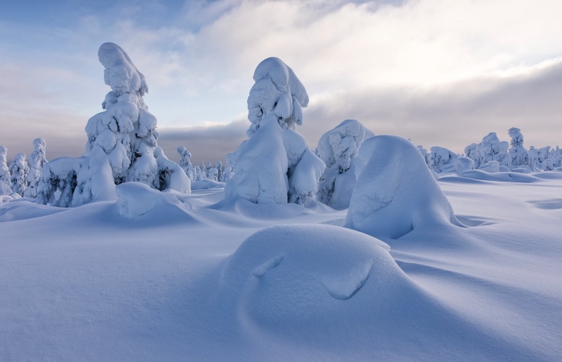 Sodankylä, Lapland, Finland, winter, 1080P, the snow, Sodankyla, trees, snow