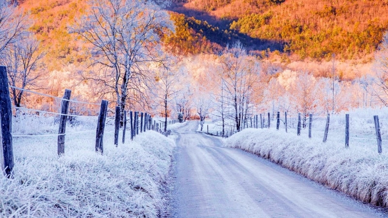 nature, freez, road, cold, 1080P, frost, winter