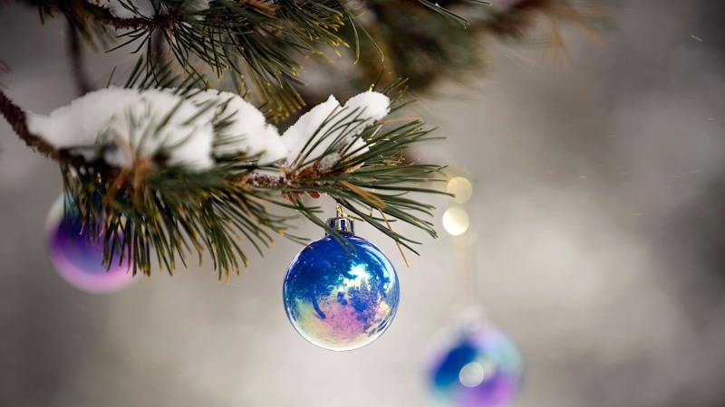 1080P, plant, event, close up, christmas ornament, winter, macro photography, illuminated, twig, outdoors, christmas ball, hanging, decoration, conifer