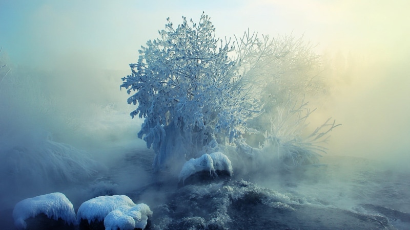 ice, snow, green, blue, outdoors, leafed, environment, cold temperature, winter, scenics - nature, tranquil scene, tree, painting, tranquility, land, river