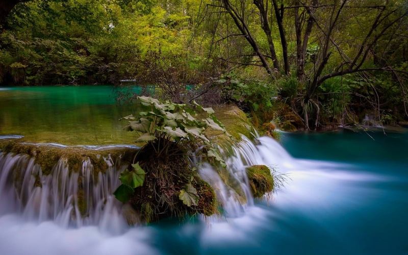 pond, Croatia, waterfall, 720P, no people, landscape, green color, land, tranquility, rainforest, shrubs, turquoise, tranquil scene, scenics - nature