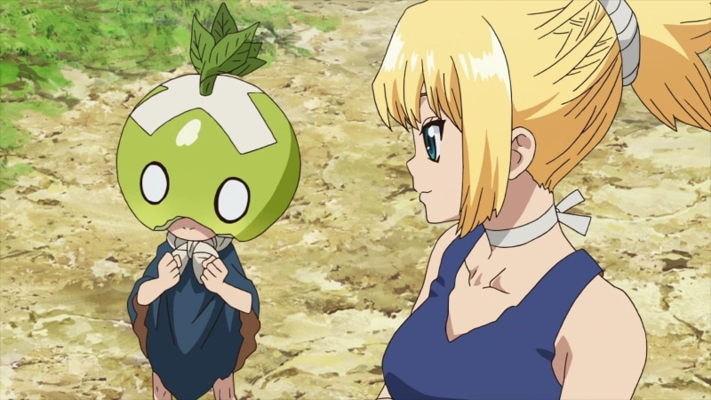 Kohaku (Dr. Stone), Kohaku, anime, 1080P, Suika (Dr. Stone), anime girls, Dr. Stone