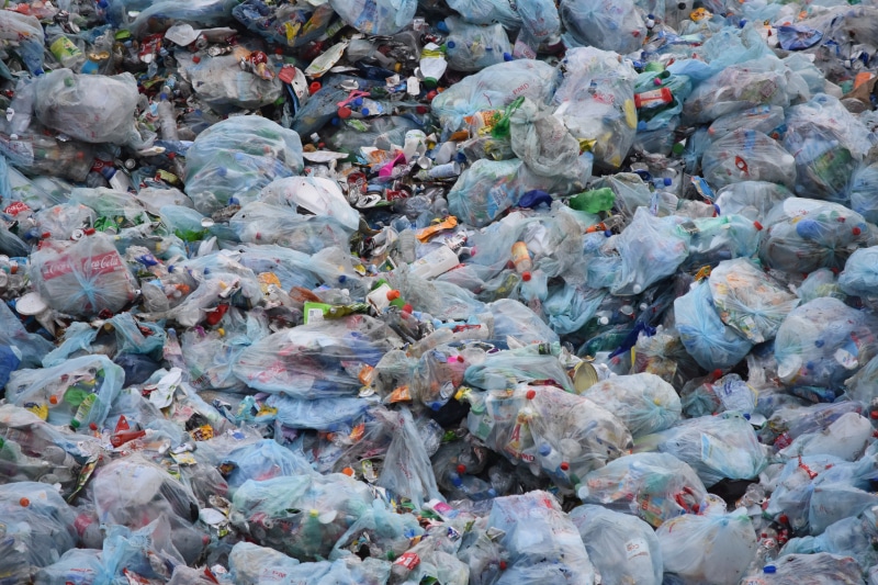 garbage, food and drink, no people, sea, environment, garbage bag, close-up, animal, dump, package, bottle, waste, lot, outdoors, food, 5K, pollution