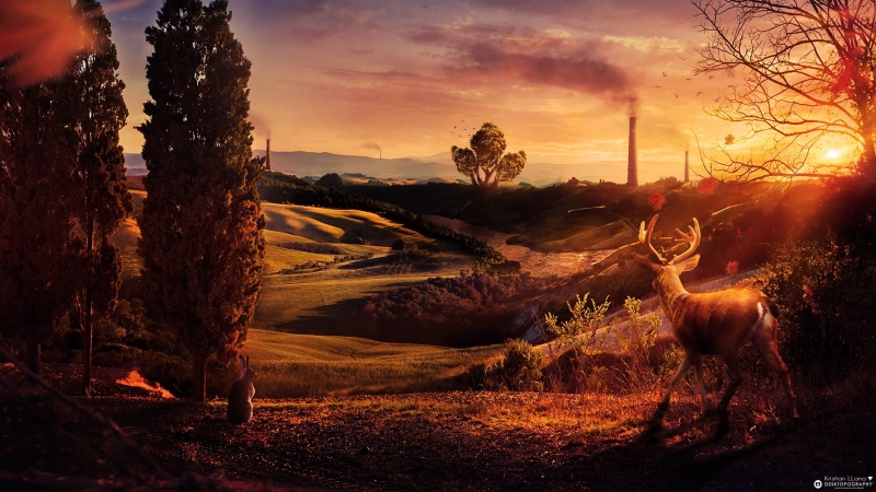 outdoors, tranquility, digital art, mammal, 2K, painting, scenics - nature, sky, tree, land, environment, Desktopography, deer, sunset, beauty in nature