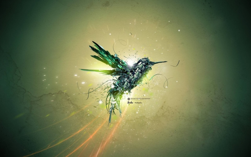 plant, nature, beauty in nature, auto post production filter, hummingbirds, animal themes, animal wildlife, animal, 1080P, animals, outdoors, abstract