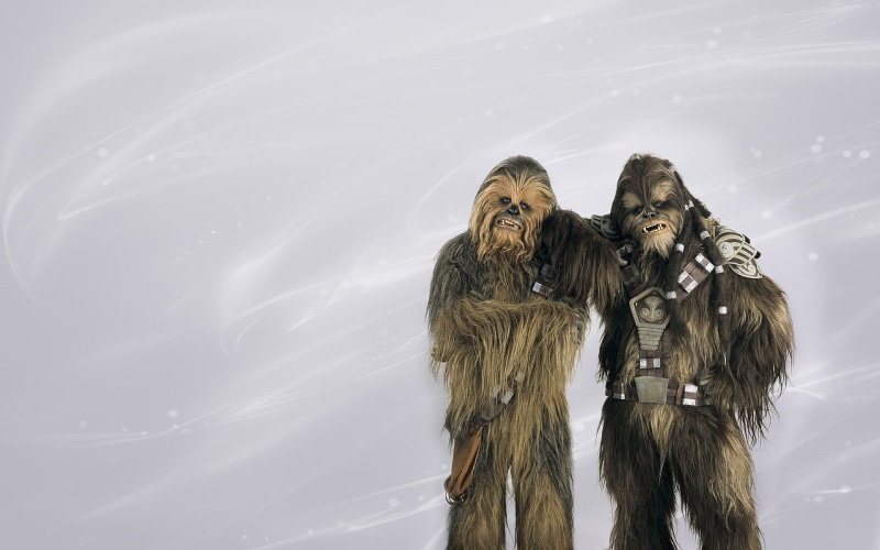 Star Wars, low angle view, leisure activity, Chewbacca, outdoors, real people, representation, 1080P, Tarfful, art and craft, togetherness, human representation