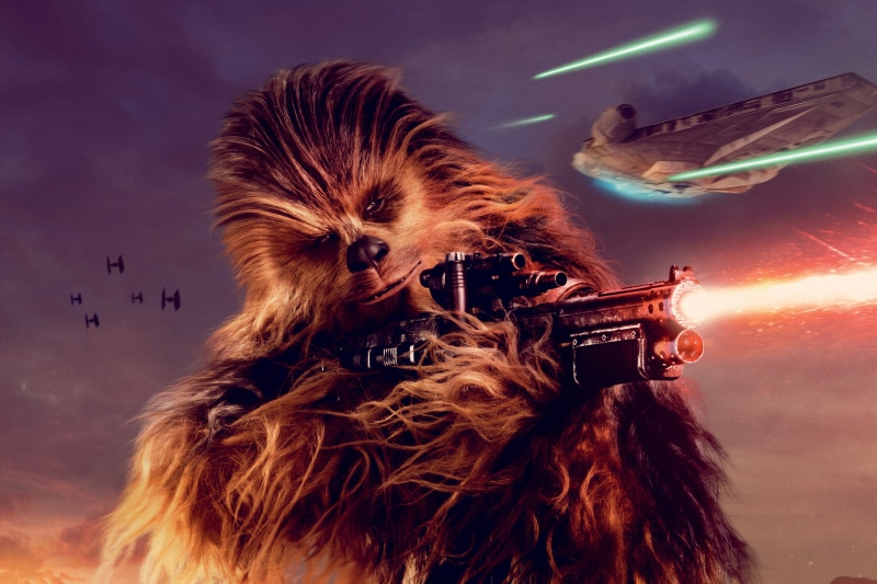 animal hair, Solo: A Star Wars Story, canine, domestic animals, sky, dog, Chewbacca, one animal, pets, portrait, nature, Chewie, 4K, hair, mammal, vertebrate