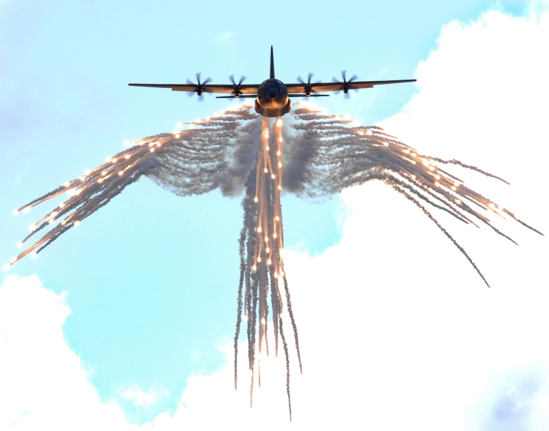 gray, military aircraft, flying, day, animal wildlife, aircraft, invertebrate, animal themes, angel of death, animal wing, insect, blue, no people, fighter